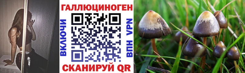 продажа наркотиков  Валдай  Галлюциногенные грибы GOLDEN TEACHER 